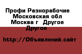 Профи Разнорабочие - Московская обл., Москва г. Другое » Другое   